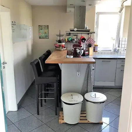 Tolle Grosse Mit Kamin Und Terrasse 바인슈타트
